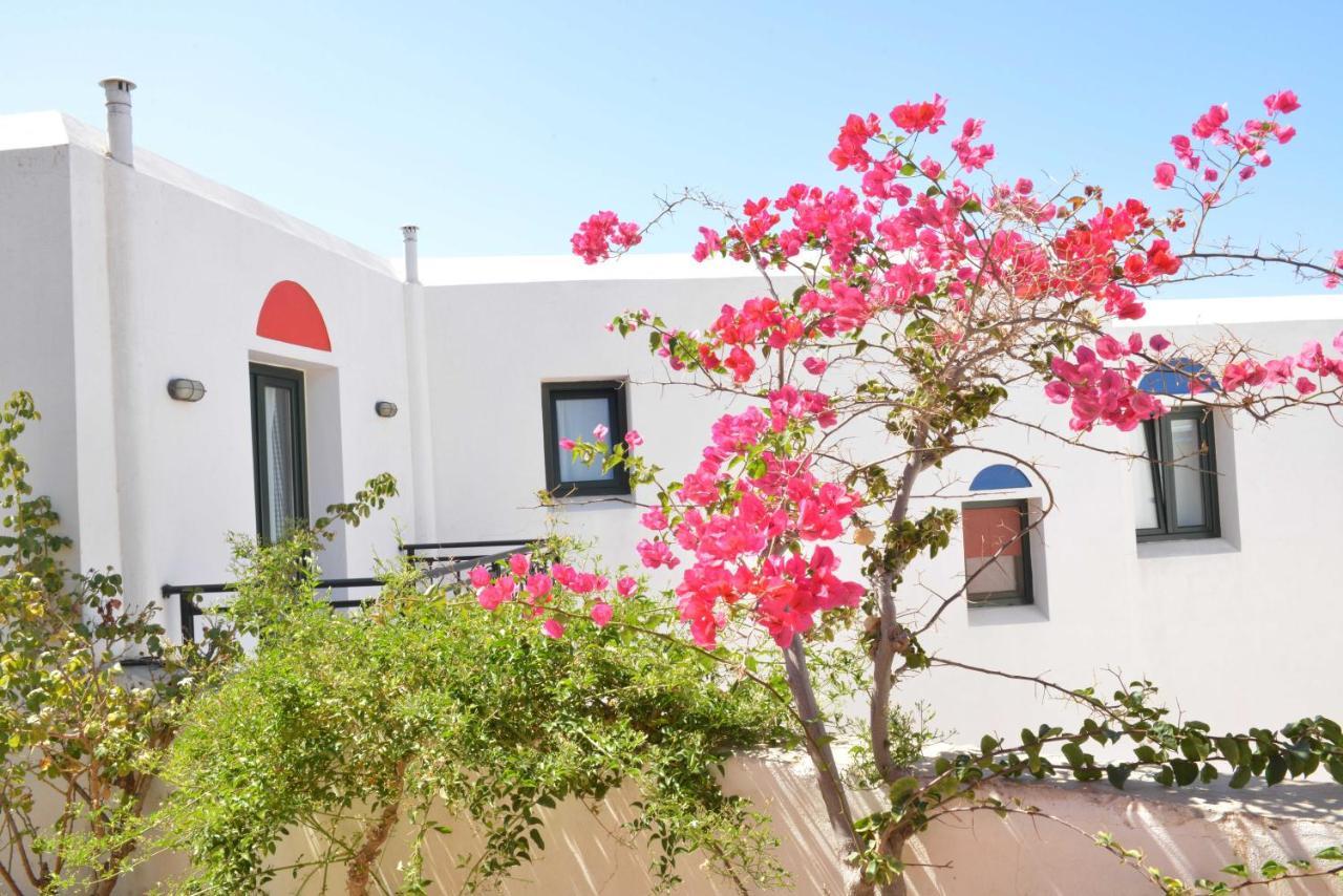 Paradisia Villas Naxos City ภายนอก รูปภาพ