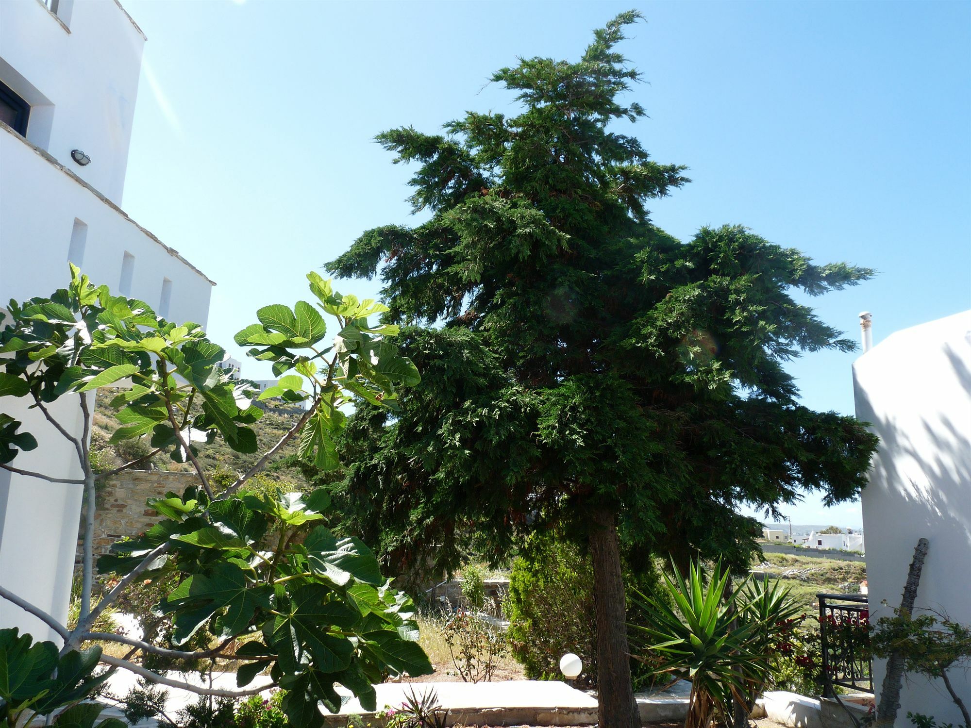 Paradisia Villas Naxos City ภายนอก รูปภาพ