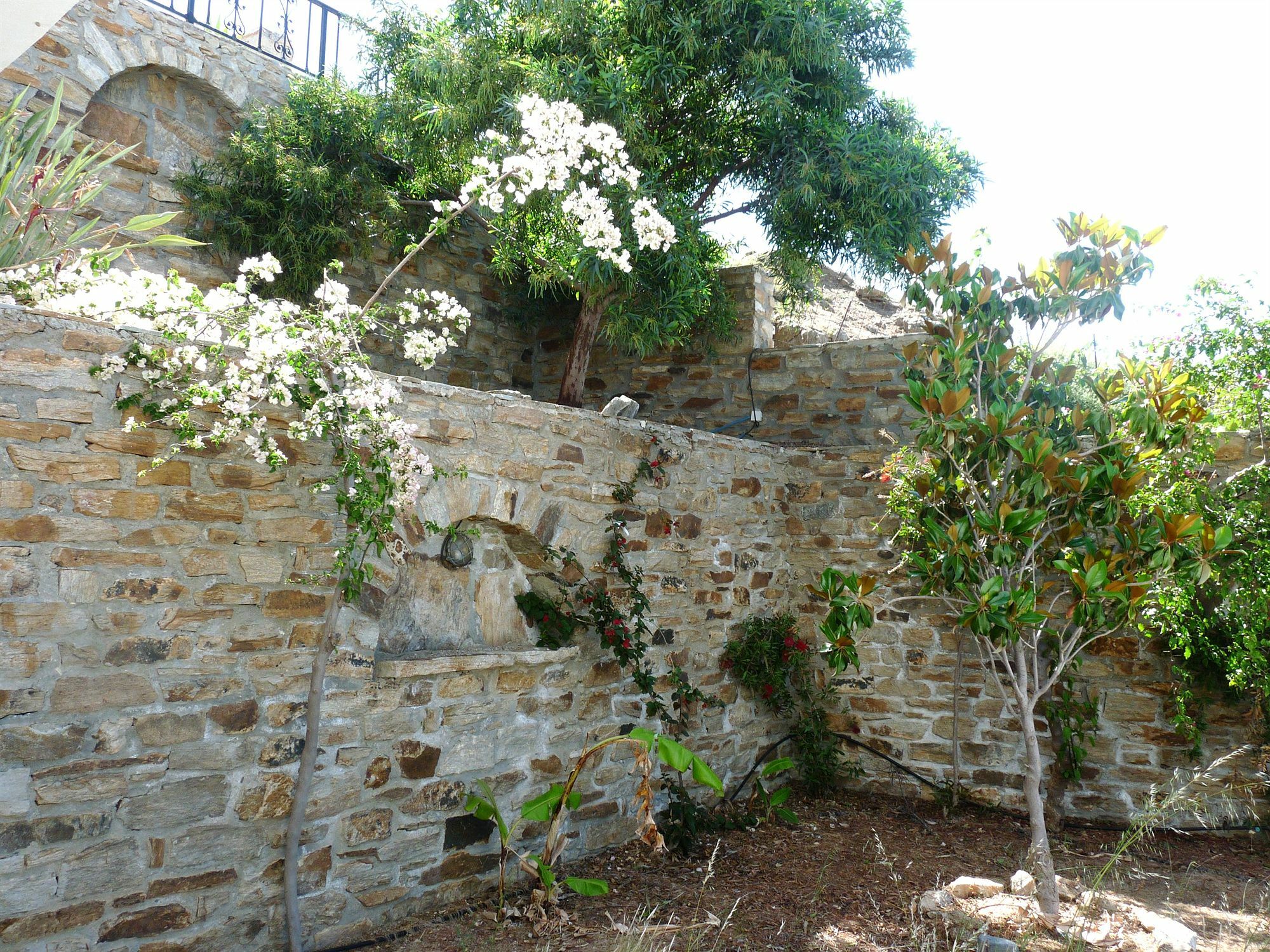 Paradisia Villas Naxos City ภายนอก รูปภาพ